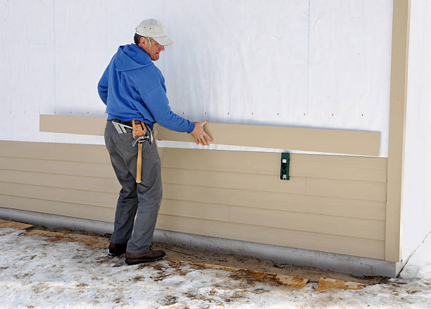 Best Custom Trim and Detailing for Siding  in Lakeview, MI