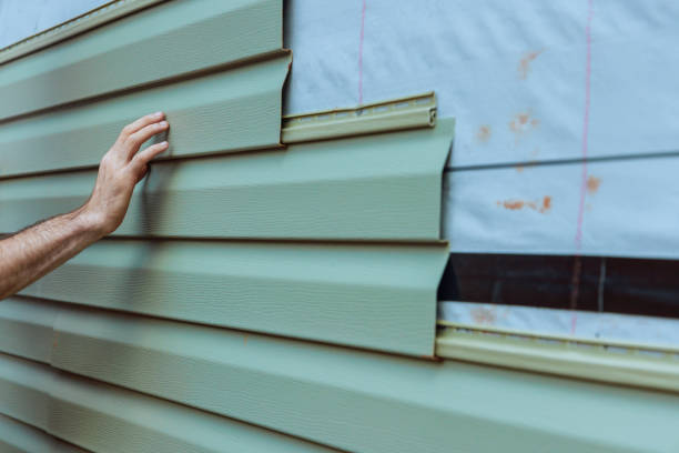 Best Wood Siding Installation  in Lakeview, MI